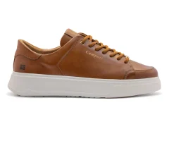 Homem Camport Sapatilhas^Sapatilhas Shoesn Read Castanho