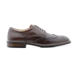 Homem Camport Sapatos^Sapato New Nobleman Castanho Escuro