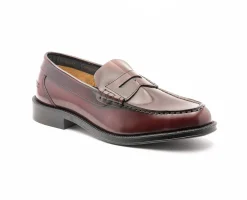 Homem Camport Mocassins^Sapato Premium Bordeaux Escuro
